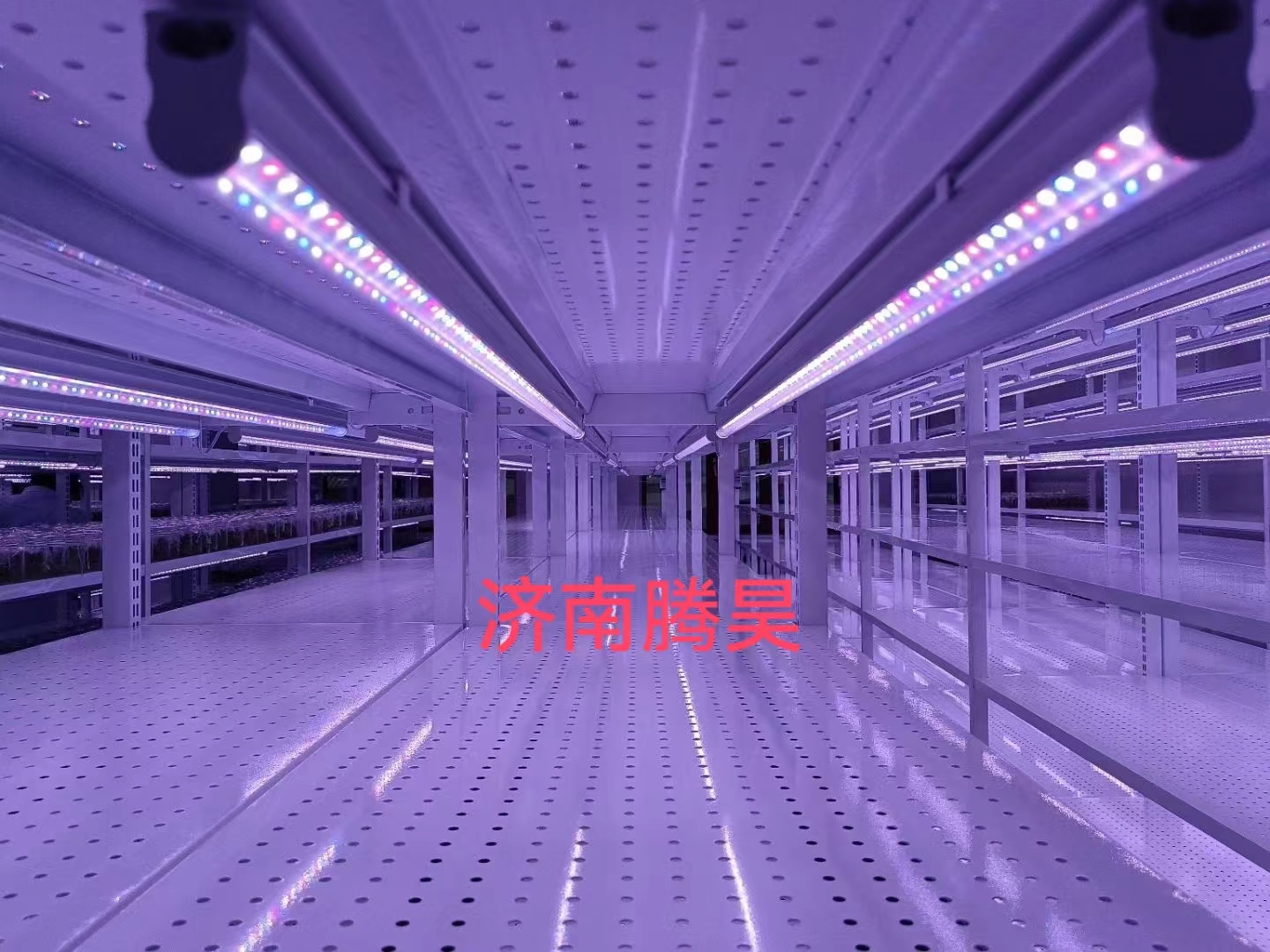 組培架，培養(yǎng)架，光照培養(yǎng)架，組培室設(shè)計(jì)，組培室無(wú)菌凈化