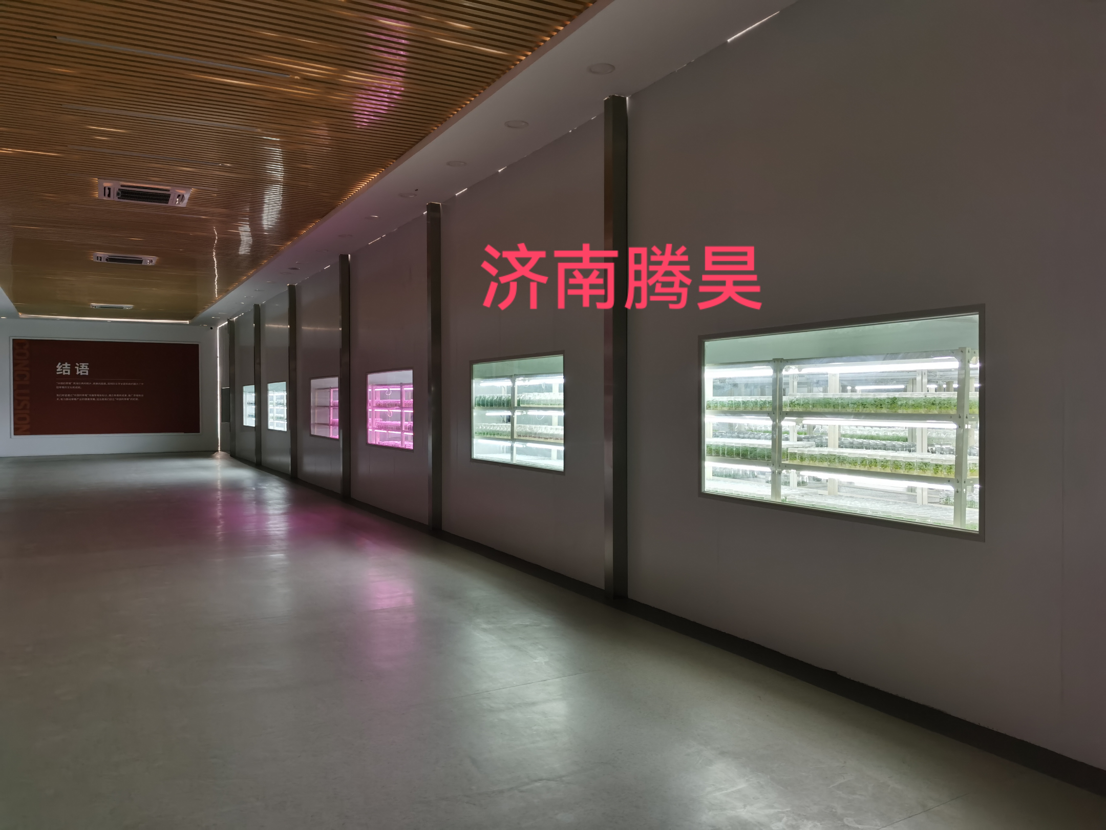 組培儀器設(shè)備